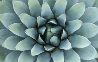 Knowing You with What Knows You